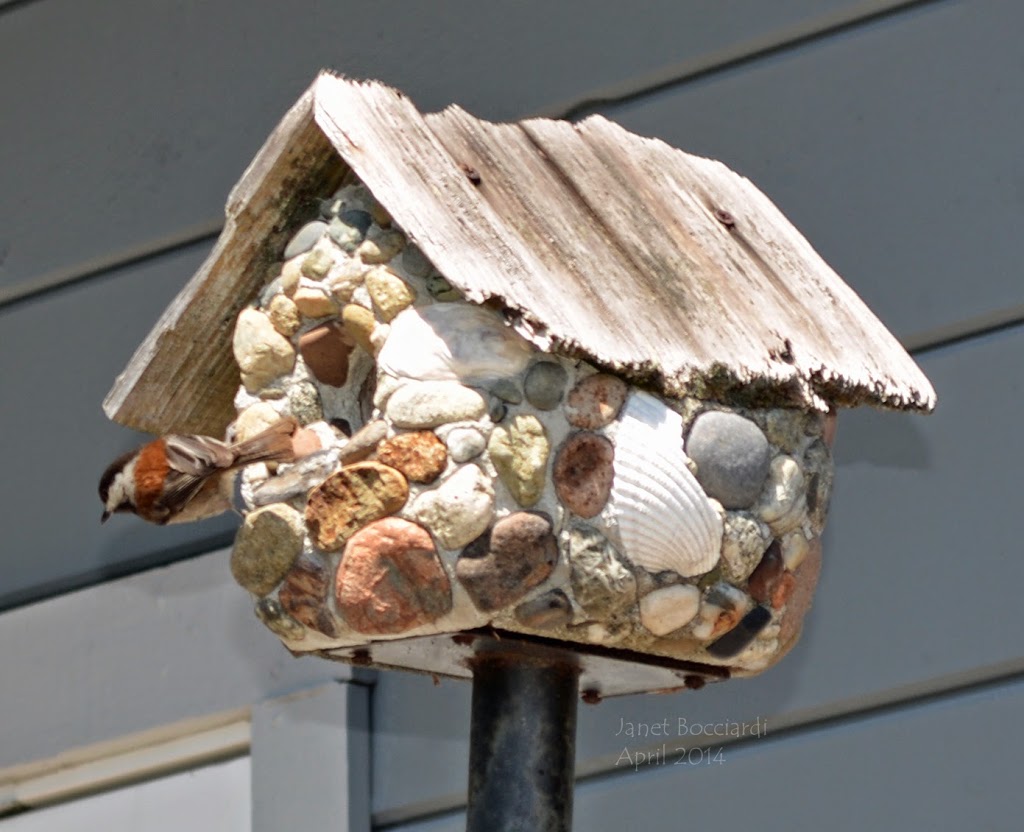 Chickadee checking out birdhouse