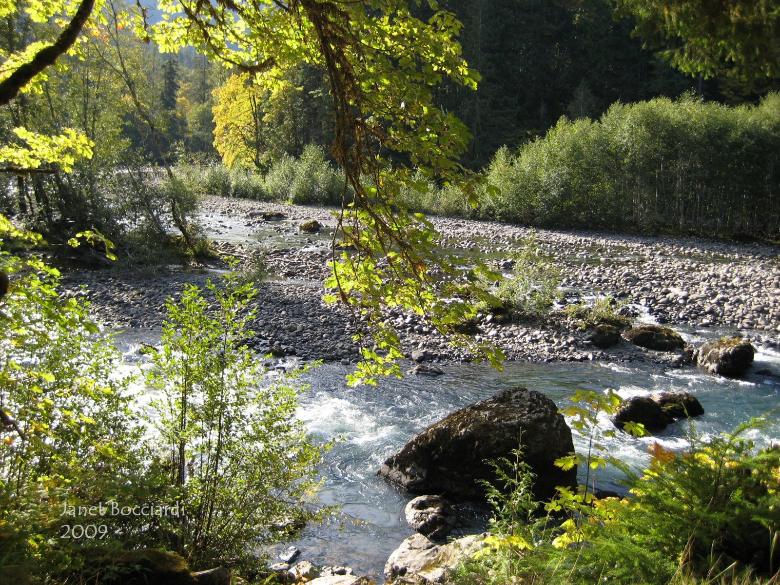 Elwha River between the dams 2009