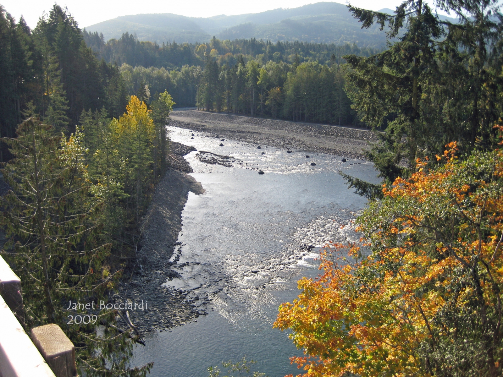 Elwha spawning grounds 2009