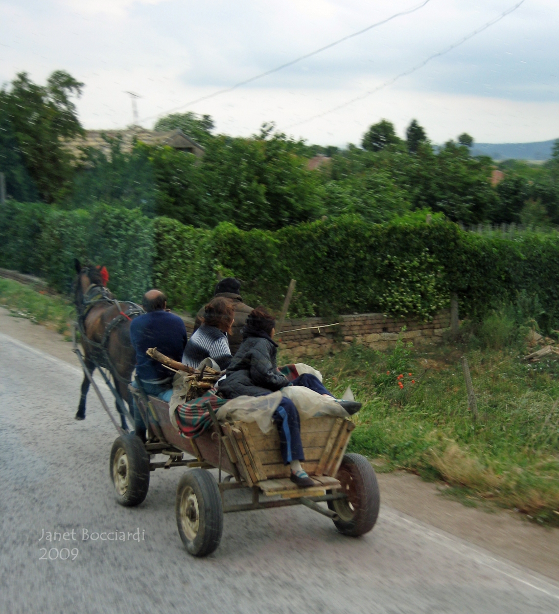 Horse drawn cart on Bulgarian highway