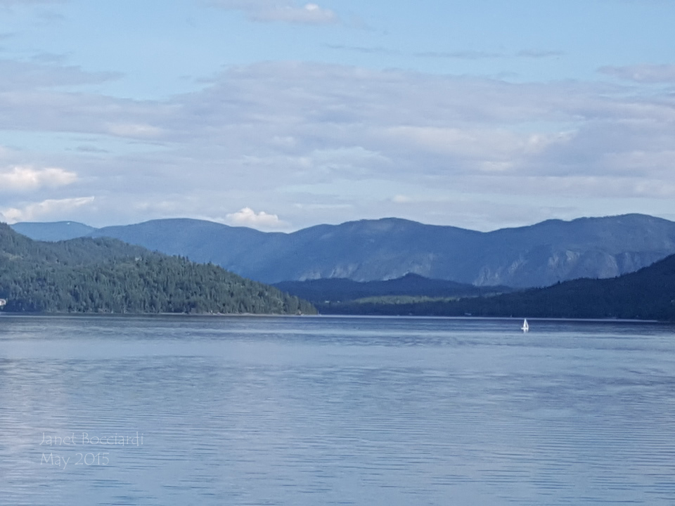 Monarchs, Lake Pend Oreille, Idaho