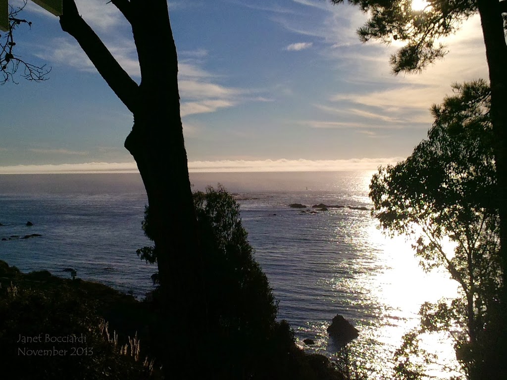 Mendocino coast