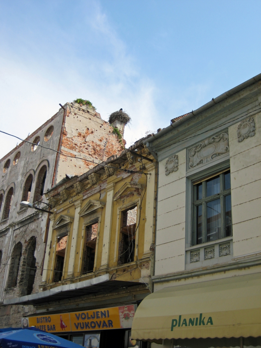 Stork nest, Vukovar, Croatia